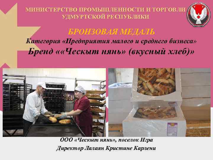 МИНИСТЕРСТВО ПРОМЫШЛЕННОСТИ И ТОРГОВЛИ УДМУРТСКОЙ РЕСПУБЛИКИ БРОНЗОВАЯ МЕДАЛЬ Категория «Предприятия малого и среднего бизнеса»