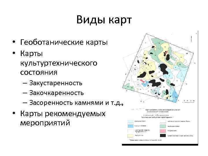 Виды карт • Геоботанические карты • Карты культуртехнического состояния – Закустаренность – Закочкаренность –