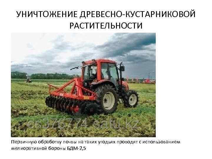 УНИЧТОЖЕНИЕ ДРЕВЕСНО-КУСТАРНИКОВОЙ РАСТИТЕЛЬНОСТИ Первичную обработку почвы на таких угодьях проводят с использованием мелиоративной бороны