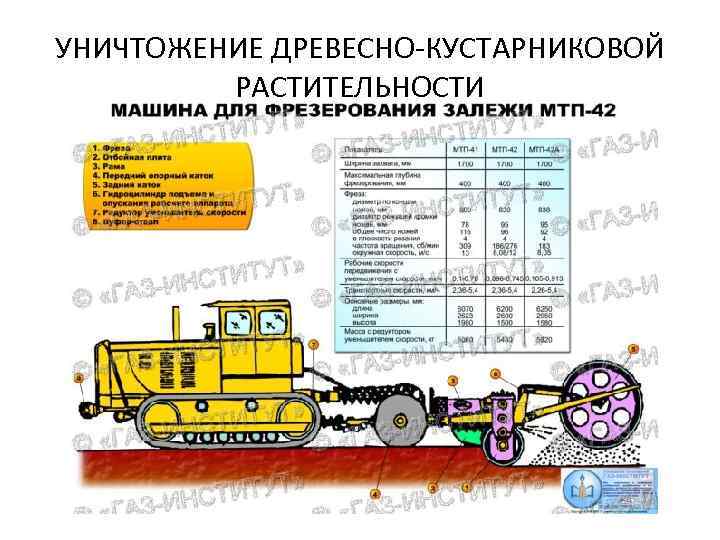 УНИЧТОЖЕНИЕ ДРЕВЕСНО-КУСТАРНИКОВОЙ РАСТИТЕЛЬНОСТИ 