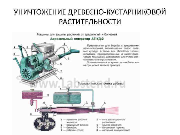 УНИЧТОЖЕНИЕ ДРЕВЕСНО-КУСТАРНИКОВОЙ РАСТИТЕЛЬНОСТИ 