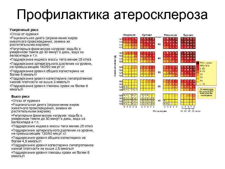 Профилактика атеросклероза Умеренный риск • Отказ от курения • Рациональная диета (ограничение жиров животного