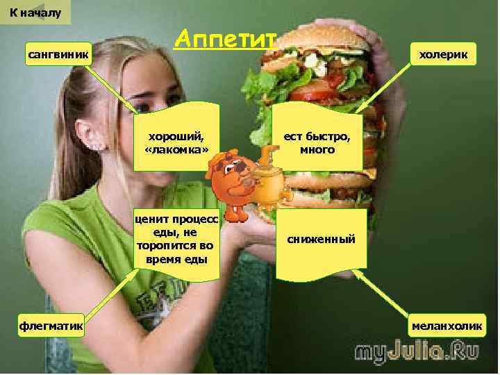 К началу сангвиник Аппетит хороший, «лакомка» ценит процесс еды, не торопится во время еды