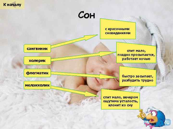 К началу Сон с красочными сновидениями сангвиник холерик флегматик спит мало, поздно просыпается, работает
