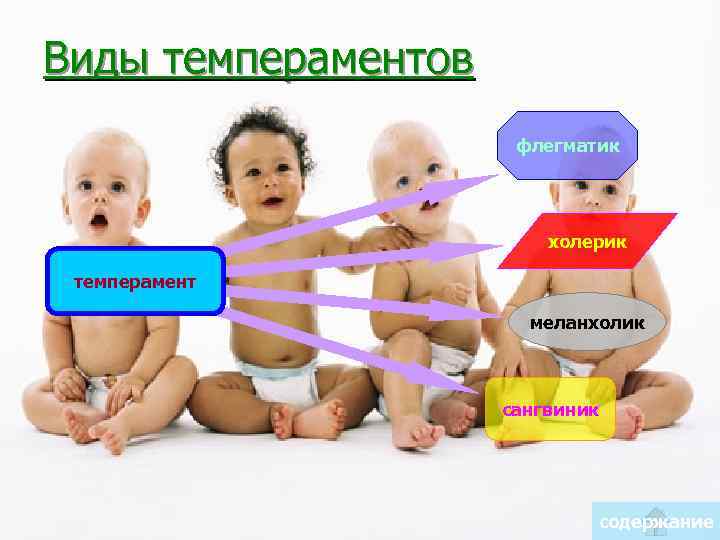 Виды темпераментов флегматик холерик темперамент меланхолик сангвиник содержание 
