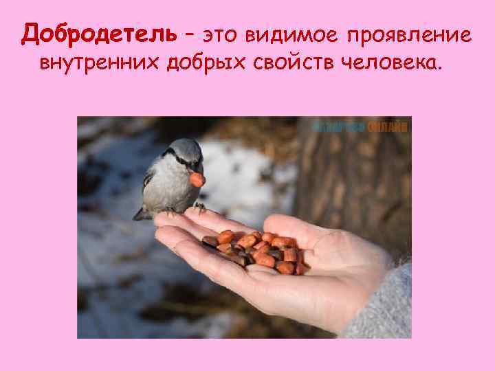 Добродетель – это видимое проявление внутренних добрых свойств человека. 