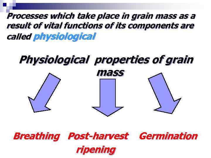 Processes which take place in grain mass as a result of vital functions of