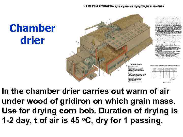 Chamber drier In the chamber drier carries out warm of air under wood of