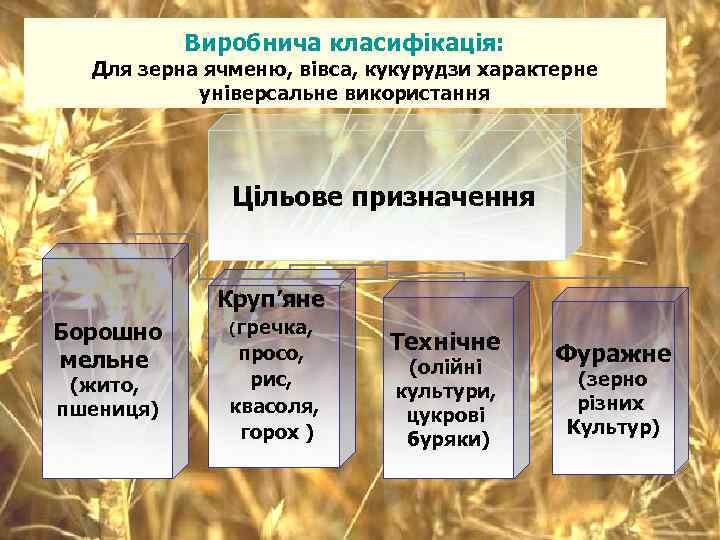 Виробнича класифікація: Для зерна ячменю, вівса, кукурудзи характерне універсальне використання Цільове призначення Круп’яне Борошно