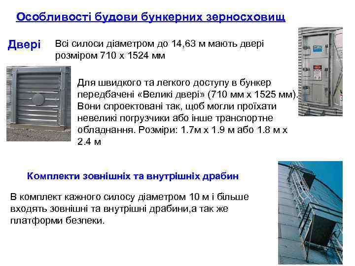 Особливості будови бункерних зерносховищ Двері Всі силоси діаметром до 14, 63 м мають двері