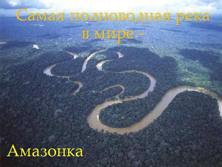 Самая полноводная река в мире - Амазонка 