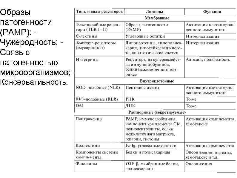 Образы патогенности (PAMP): Чужеродность; Связь с патогенностью микроорганизмов; Консервативность. 