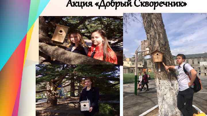 Акция «Добрый Скворечник» 