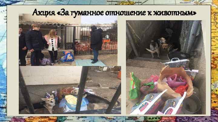 Акция «За гуманное отношение к животным» 