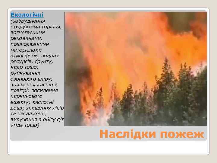Екологічні (забруднення продуктами горіння, вогнегасними речовинами, пошкодженими матеріалами атмосфери, водних ресурсів, ґрунту, надр тощо;