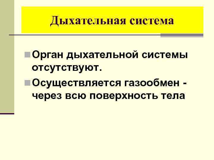 Дыхательная система n Орган дыхательной системы отсутствуют. n Осуществляется газообмен - через всю поверхность