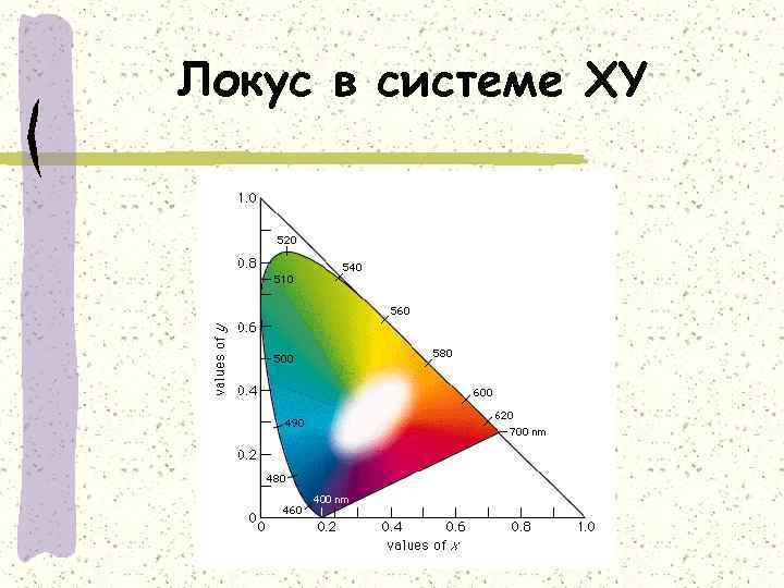 Локус в системе XY 