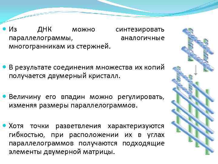  Из ДНК можно синтезировать параллелограммы, аналогичные многогранникам из стержней. В результате соединения множества