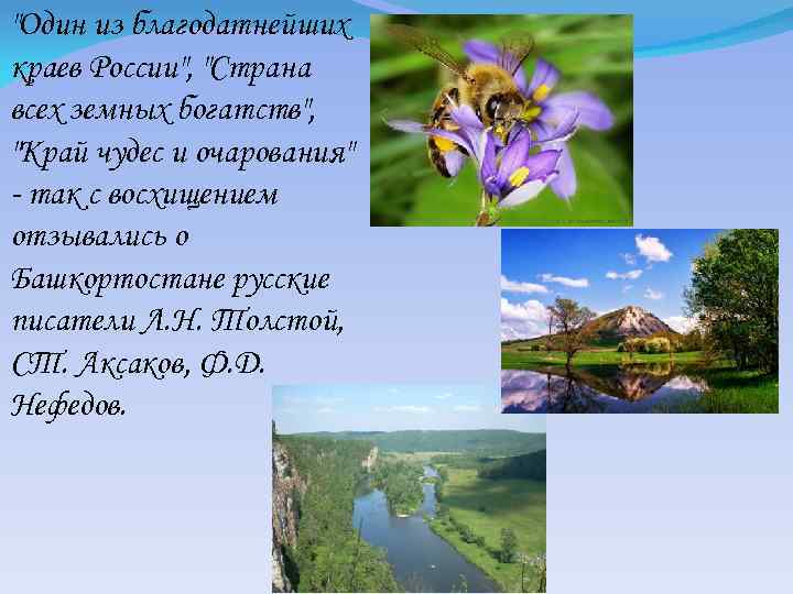 "Один из благодатнейших краев России", "Страна всех земных богатств", "Край чудес и очарования" -