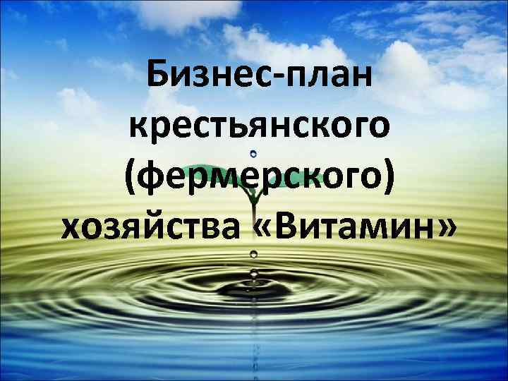 Бизнес-план крестьянского (фермерского) хозяйства «Витамин» 