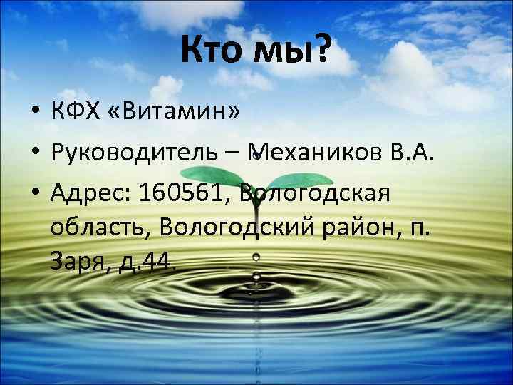 Кто мы? • КФХ «Витамин» • Руководитель – Механиков В. А. • Адрес: 160561,