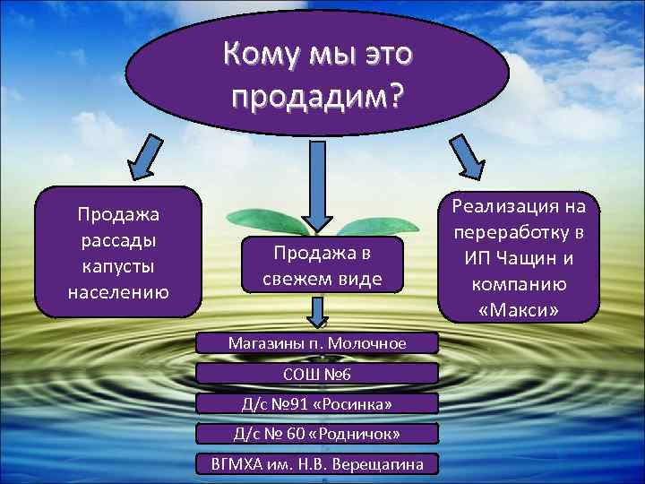 Кому мы это продадим? Продажа рассады капусты населению Продажа в свежем виде Магазины п.