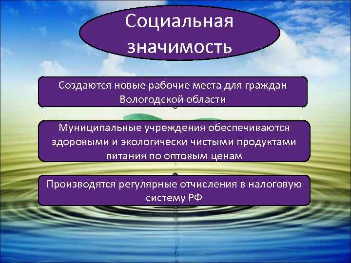 Социальная значимость Создаются новые рабочие места для граждан Вологодской области Муниципальные учреждения обеспечиваются здоровыми