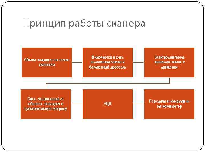 Принцип работы сканера Объект кладется на стекло планшета Включается в сеть подвижная лампа и