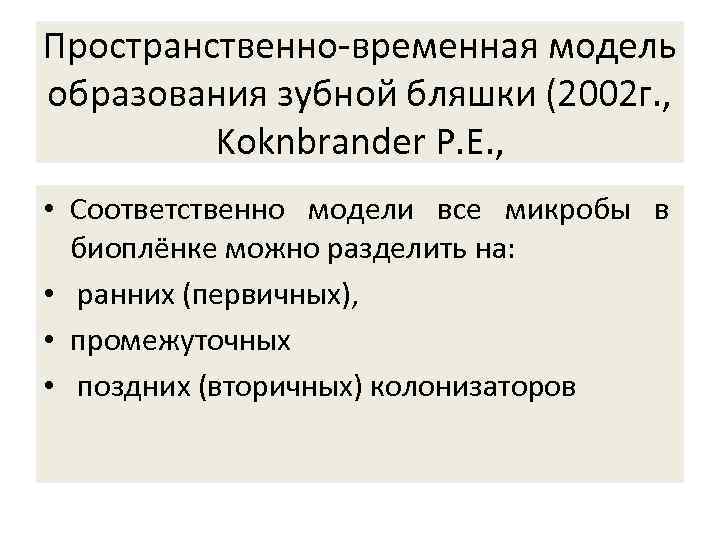 Пространственно-временная модель образования зубной бляшки (2002 г. , Koknbrander P. E. , • Соответственно