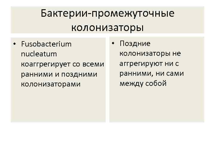 Бактерии-промежуточные колонизаторы • Поздние • Fusobacterium колонизаторы не nucleatum аггрегируют ни с коаггрегирует со