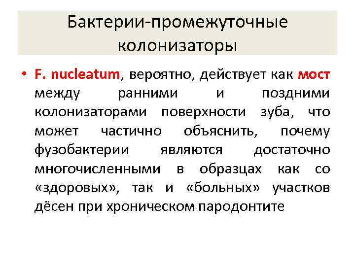 Бактерии-промежуточные колонизаторы • F. nucleatum, вероятно, действует как мост между ранними и поздними колонизаторами