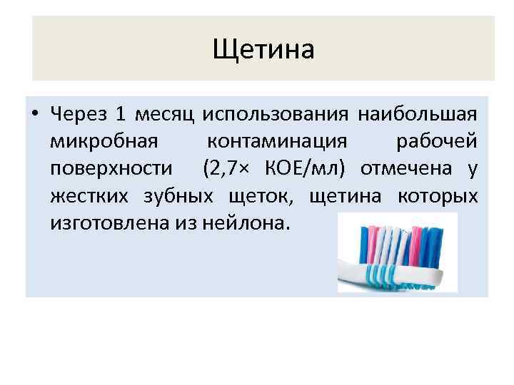 Щетина • Через 1 месяц использования наибольшая микробная контаминация рабочей поверхности (2, 7× КОЕ/мл)