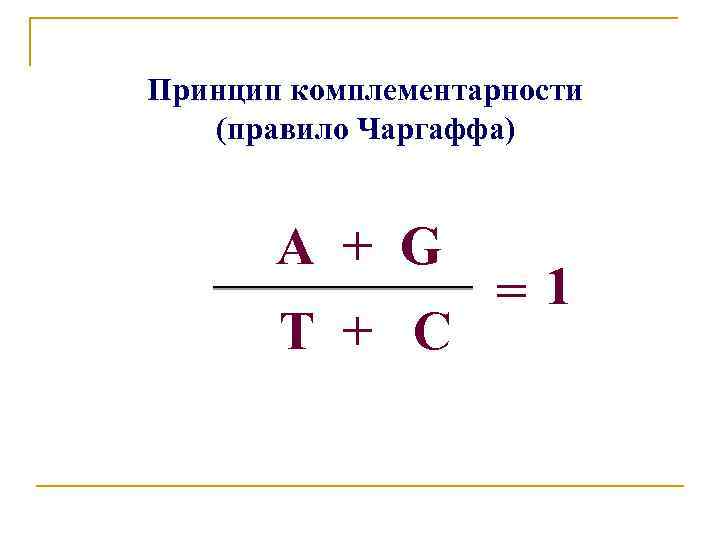Принцип комплементарности (правило Чаргаффа) А + G T + C =1 
