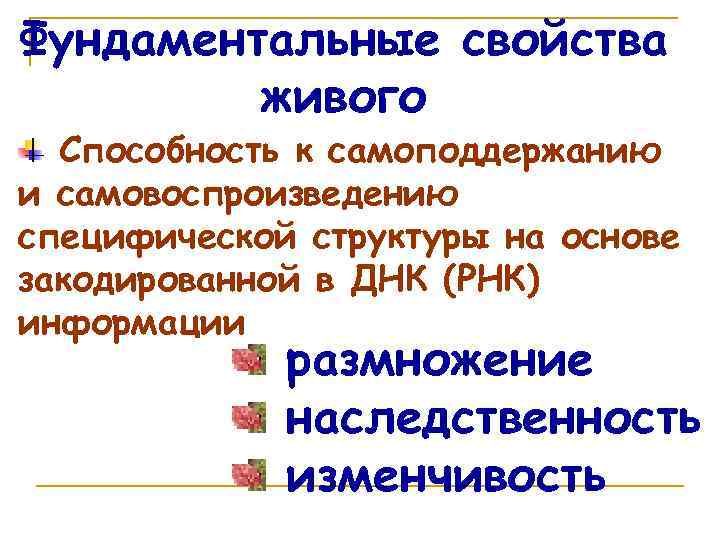 Фундаментальные свойства живого Способность к самоподдержанию и самовоспроизведению специфической структуры на основе закодированной в