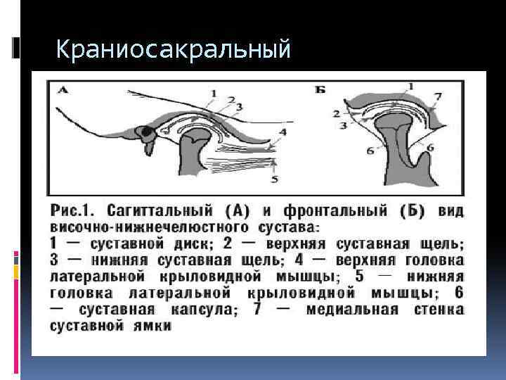 Краниосакральный 