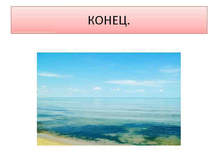КОНЕЦ. 