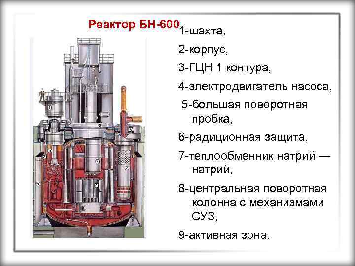 Реактор БН-600 1 -шахта, 2 -корпус, 3 -ГЦН 1 контура, 4 -электродвигатель насоса, 5