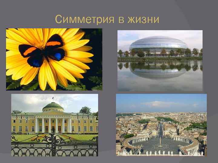 Симметрия в жизни 