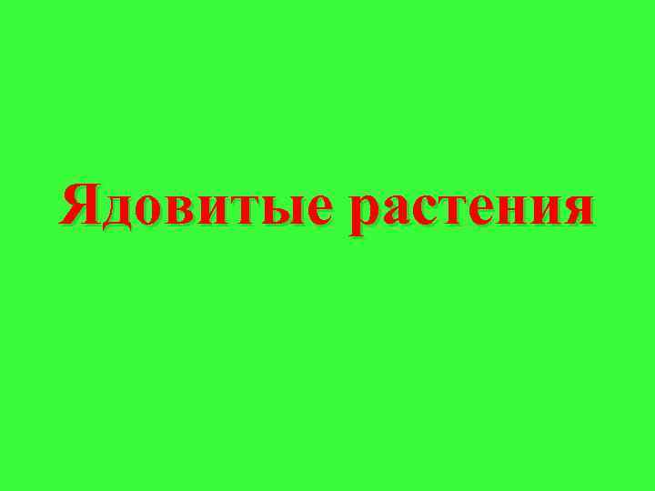 Ядовитые растения 