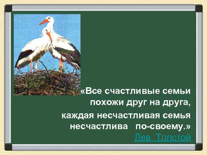 Фраза льва толстого все счастливые семьи похожи. Все счастливые семьи похожи друг на друга. Все счастливые семьи. Все счастливые семьи похожи друг на друга каждая несчастливая. Каждая счастливая семья счастлива по-своему каждая несчастливая.