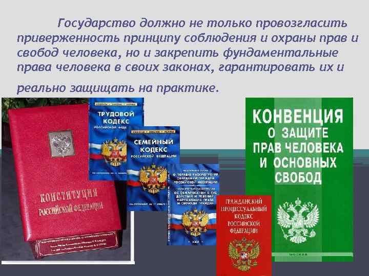 Государство должно не только провозгласить приверженность принципу соблюдения и охраны прав и свобод человека,