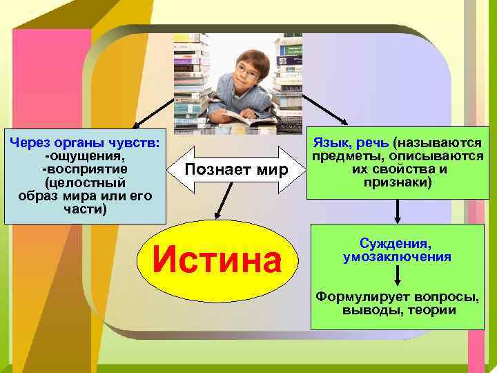 Через органы чувств: ощущения, восприятие (целостный образ мира или его части) Познает мир Истина