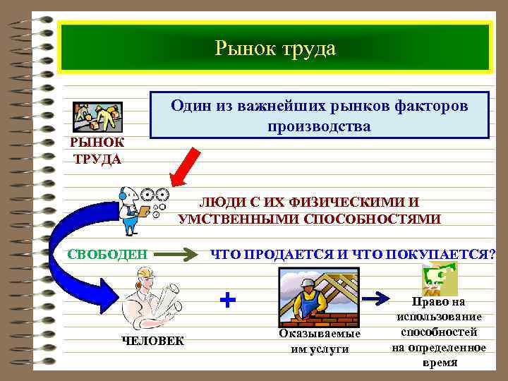 Рынок труда РЫНОК ТРУДА Один из важнейших рынков факторов производства ЛЮДИ С ИХ ФИЗИЧЕСКИМИ