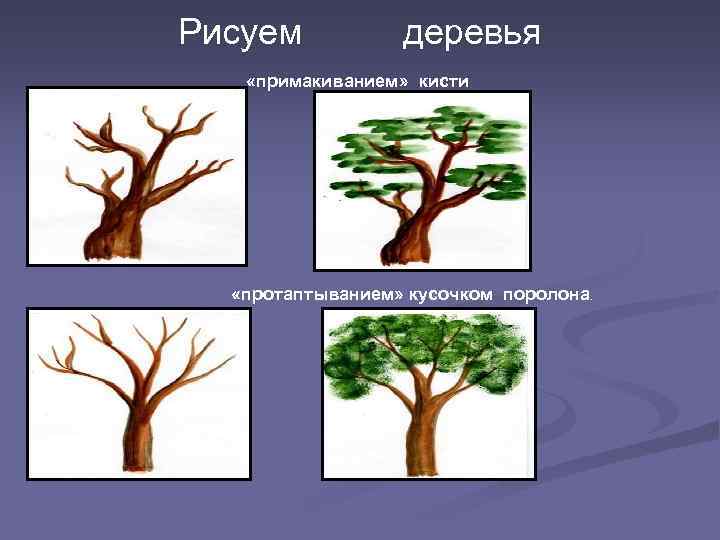 Рисуем деревья «примакиванием» кисти «протаптыванием» кусочком поролона. 