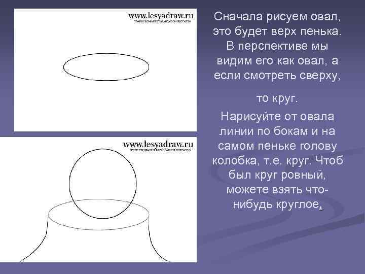 Сначала рисуем овал, это будет верх пенька. В перспективе мы видим его как овал,
