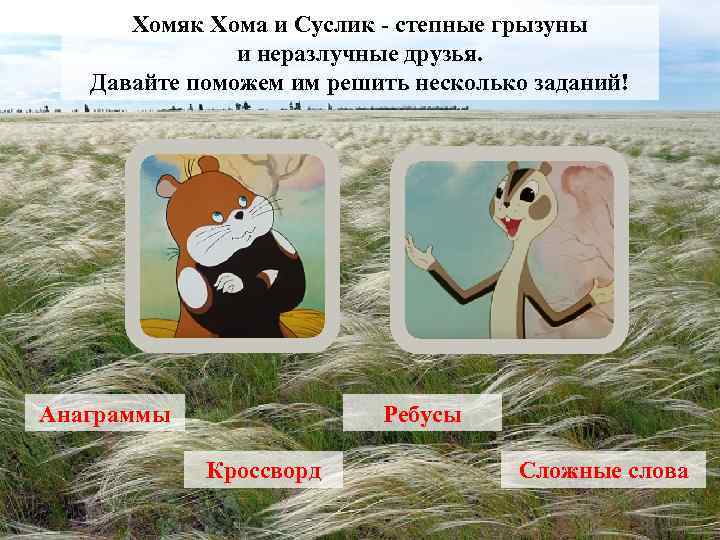 Хомяк Хома и Суслик - степные грызуны и неразлучные друзья. Давайте поможем им решить