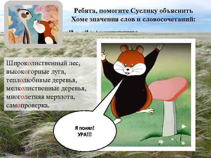 Ребята, помогите Суслику объяснить Хоме значения слов и словосочетаний: Широколиственный лес, высокогорные луга, теплолюбивые
