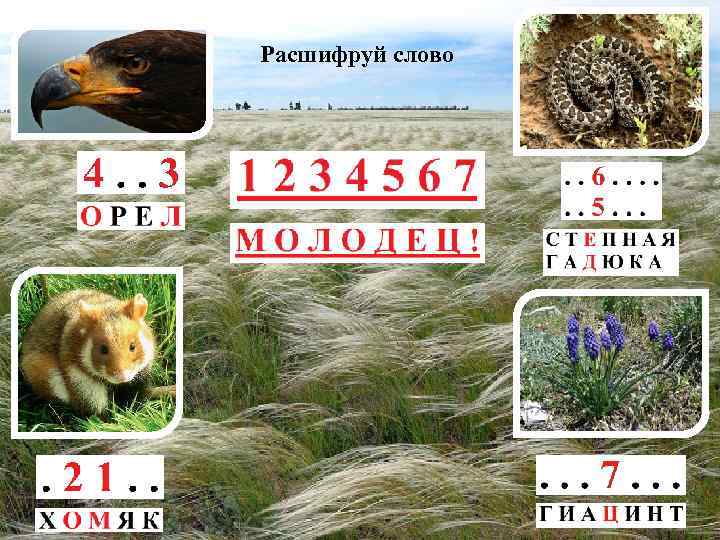 Расшифруй слово 