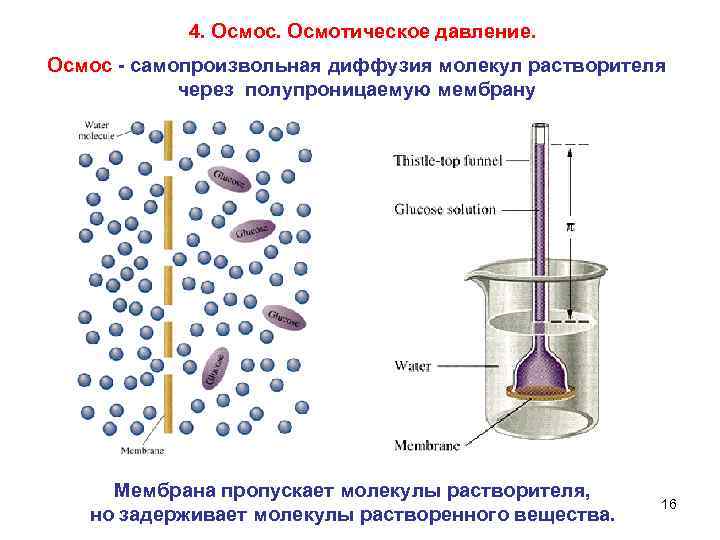 4. Осмос. Осмотическое давление. Осмос - самопроизвольная диффузия молекул растворителя через полупроницаемую мембрану Мембрана