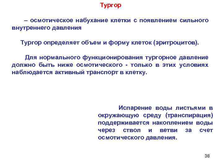 Тургор – осмотическое набухание клетки с появлением сильного внутреннего давления Тургор определяет объем и